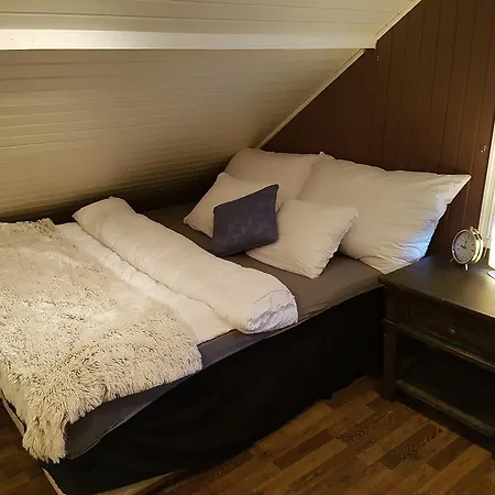Aurora Smart Guest house